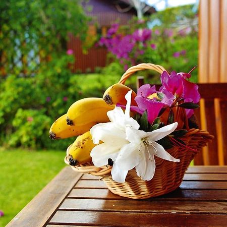 Holiday Homes Quinta Dos Curubas, Vila Franca Do Campo, Sao Miguel, Azores Eksteriør bilde