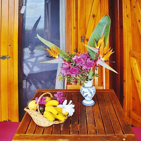 Holiday Homes Quinta Dos Curubas, Vila Franca Do Campo, Sao Miguel, Azores Eksteriør bilde
