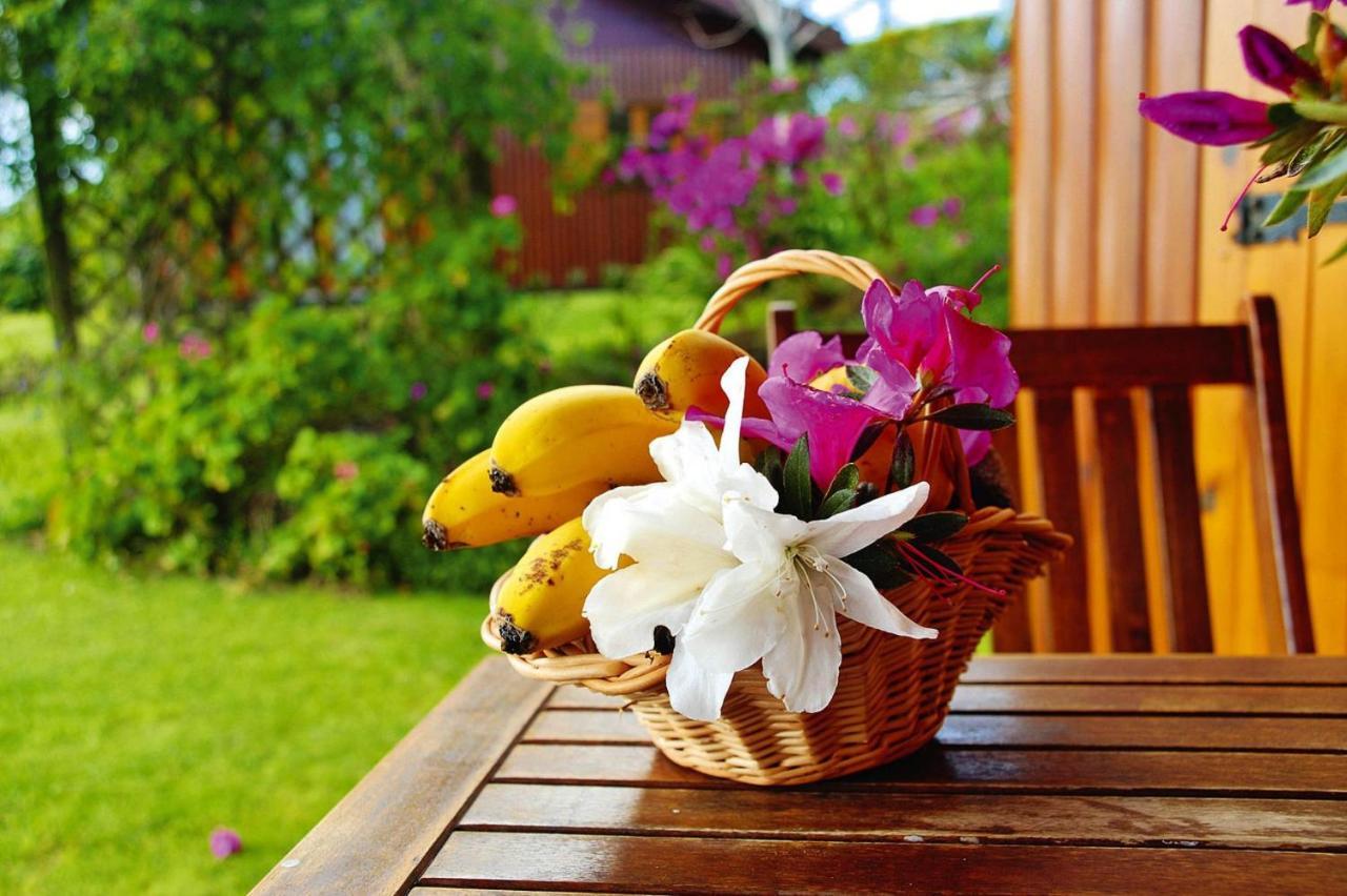 Holiday Homes Quinta Dos Curubas, Vila Franca Do Campo, Sao Miguel, Azores Eksteriør bilde