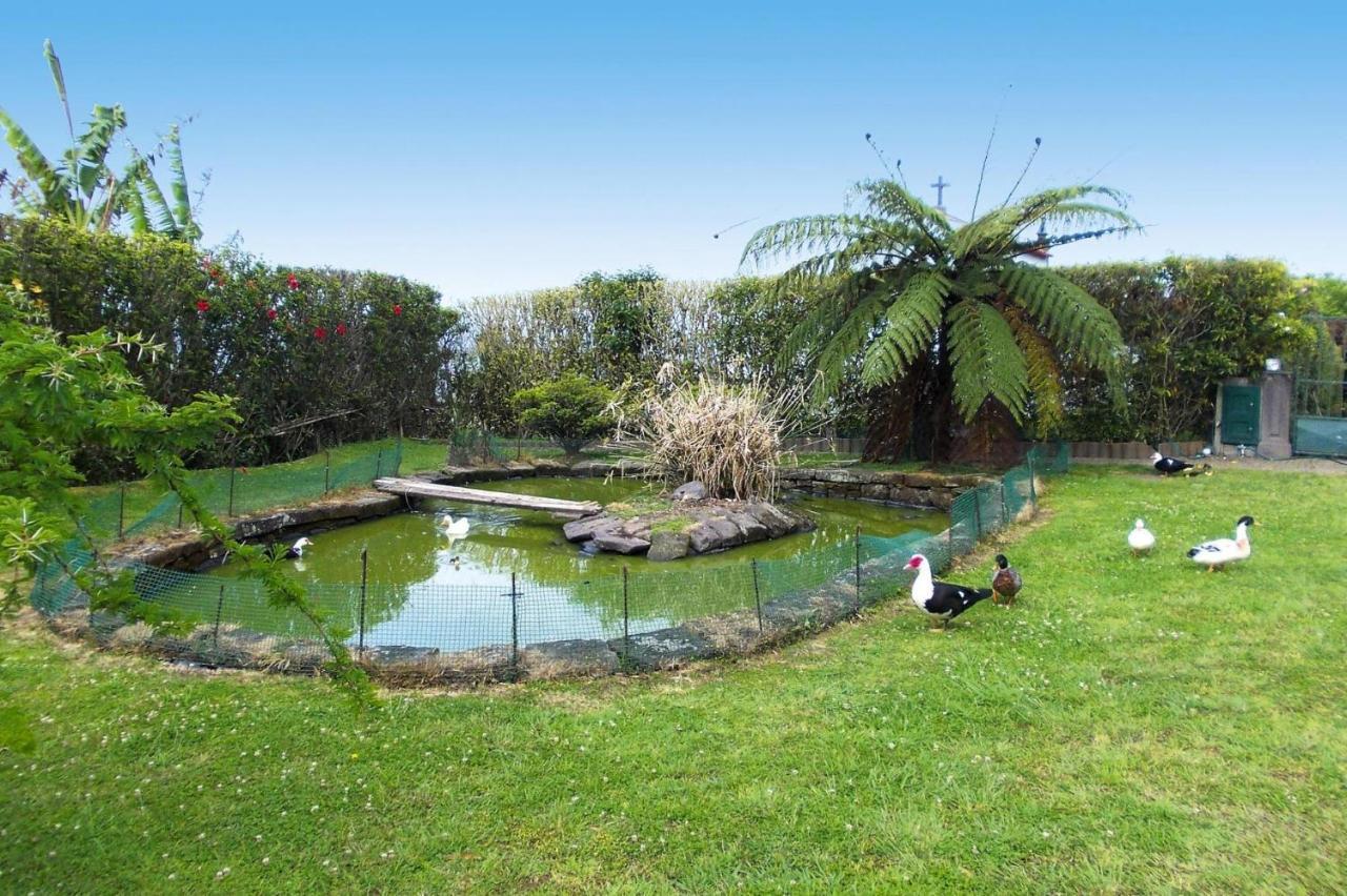 Holiday Homes Quinta Dos Curubas, Vila Franca Do Campo, Sao Miguel, Azores Eksteriør bilde