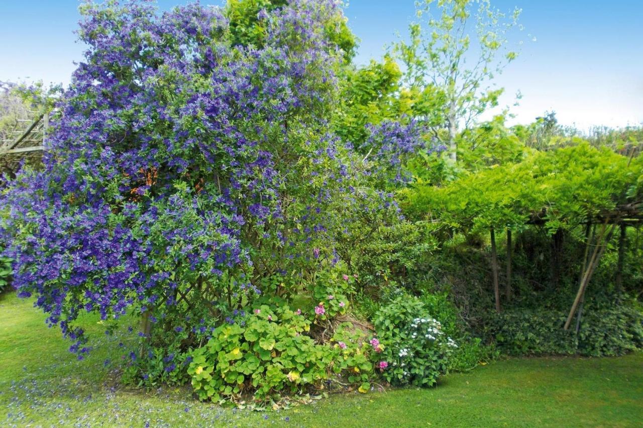 Holiday Homes Quinta Dos Curubas, Vila Franca Do Campo, Sao Miguel, Azores Eksteriør bilde