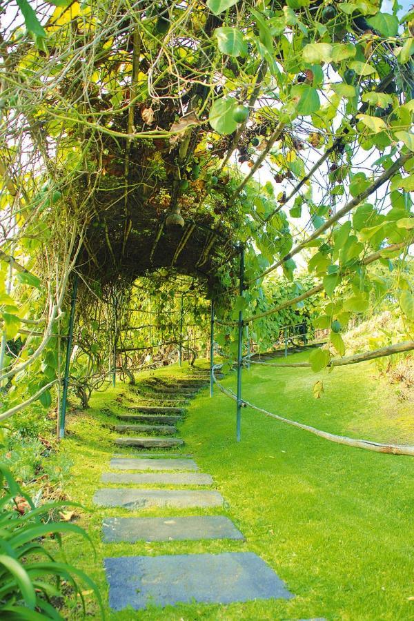 Holiday Homes Quinta Dos Curubas, Vila Franca Do Campo, Sao Miguel, Azores Eksteriør bilde